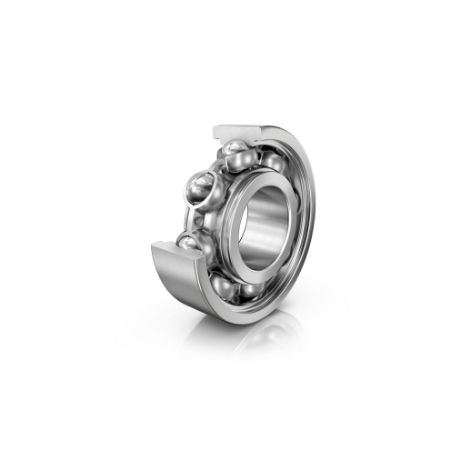 Picture for category Deep Groove Ball Bearing-SR
